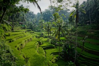 8 Days Magical Bali (Kuta, Mara River, Ubud) Ex Mumbai