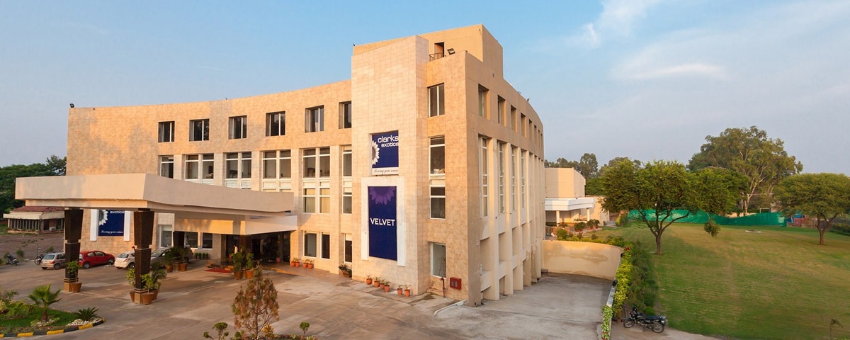 Velvet Clarks Exotica